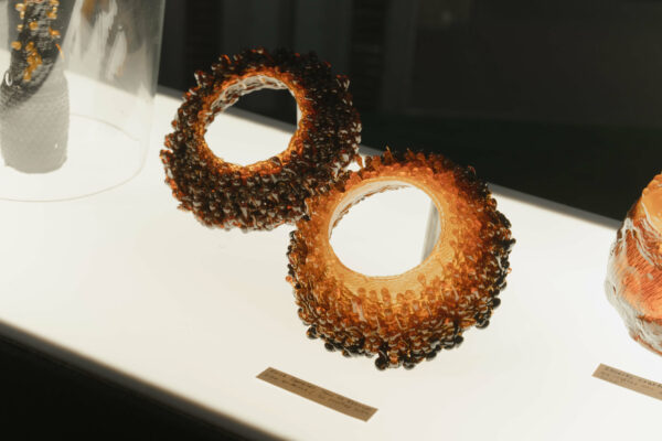 LifeOfForms_01_Exhibition_LA_20260907-23 (1)